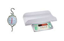 Height & Weight Scales